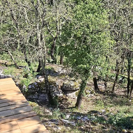 Les Murmures De La Forêt Lanas